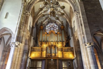 The main organ by Johann Andreas Silbermann in the interior of the Lutheran St. Thomas Church or