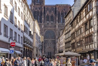 Maison Bollinger timbered house on Rue Mercière and Strasbourg Cathedral, Strasbourg, Alsace,