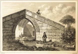 Trinity Bridge, Crowland, Peterborough, United Kingdom, pointed bridge over stream, nature, tree,