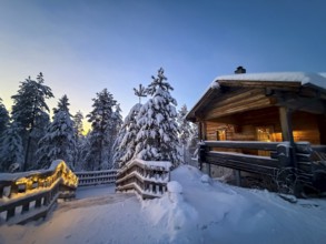 Snowy trees and illuminated wooden house in winter, evening mood, Oulanka National Park, Kuusamo,