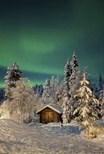 Northern lights, aurora borealis in the night sky, wooden cabin in snowy landscape, Oulanka