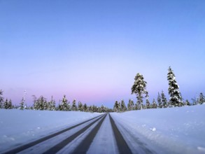 Road through snowy landscape with forest, pink sky at sunrise, Lapland, Finland