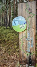 Wooden sign with information about the Green Belt in a forest, hiking on the former inner-German
