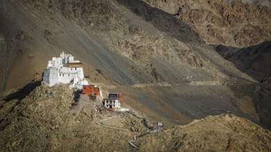 Namgyal Tsemo Buddhist monastery nestled in the barren mountains on a escarpment, Leh, trekking in