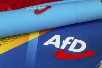 AfD symbolic image: close-up of a flyer and ballpoint pen