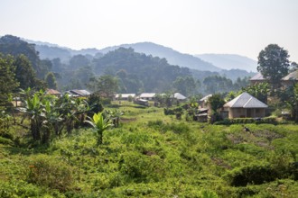 Small village nestled between green hills, on the edge of the Bwindi Impenetrable Forest, Rushaga,