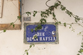 A Tunisian street sign for Rue de la Hafsia written in French and Arabic in the main thoroughfare
