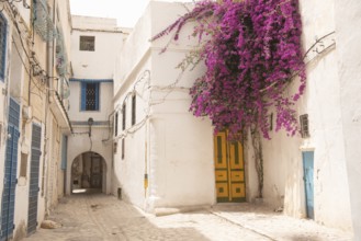 Traditional coloured door of typical Tunisian architecture in the colourful alleyways of the Medina
