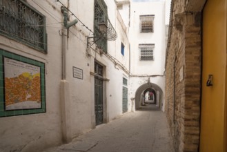 The street and childhood home of Ibn Khaldun, Arab Muslim sociologist and philosopher born in the