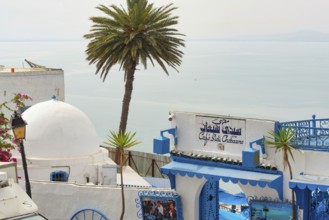May 17th 2024. Sidi Bou Said, Tunisia. Café des Délices or Café Sidi Chabaane the most famous café
