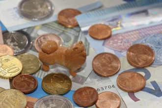 Miniature Kleinspitz figure standing on euro coins surrounded by banknotes, North Rhine-Westphalia,