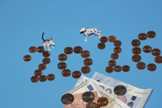 Bull terrier and Dalmatian miniature figure standing on a blue background with euro coins and