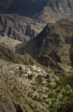 The green mountains called Jebel Akhdar of the Hajar mountain range, the harsh interior of Oman,