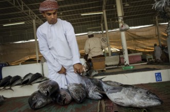 Muscat, Oman. May 26th 2014 Buying and selling inside Muscat Fish Market, Oman