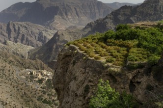 The green mountains called Jebel Akhdar of the Hajar mountain range, the harsh interior of Oman,