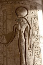 Hieroglyphic relief details from the Ramesseum, memorial temple or mortuary temple of Egyptian