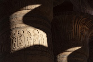 Hieroglyphic relief details from the Ramesseum, memorial temple or mortuary temple of Egyptian