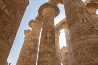 Ancient Egyptian Pharaoh hieroglyphic relief details on columns of the Great Hypostyle Hall of the