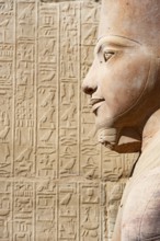 2000 year old Portrait Statue of Ancient Egyptian Pharaoh Queen Hatshepsut, against Hieroglyphic