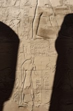 Egyptian hieroglyphs and Pharaoh Kings of Ancient Egypt, Historical City of Thebes, beside the Nile