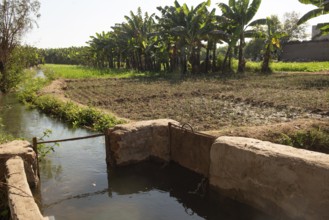 Irrigation channels and canals bringing water from the River Nile to feed plants and water