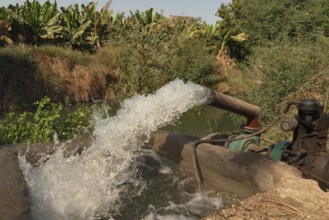 Water being pumped out of the River Nile into irrigation canals to feed water intensive crops of