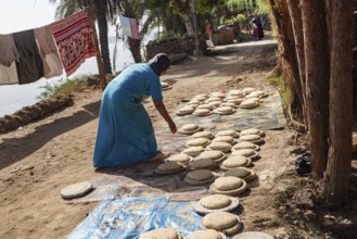 Luxor, Egypt. 13th December 2020 An Egyptian woman preparing dough to make bread in a Nile side