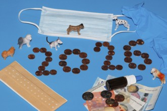 Various miniature dogs with medical devices and euro coins on a blue background, North