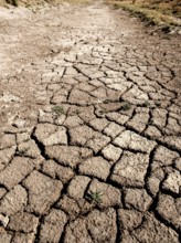 Dry cracked earth of a river bed in the desert during a drought, Basra, Iraq, Middle East