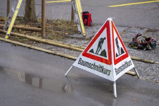 Symbolic photo tree pruning course, Interlaken, Switzerland