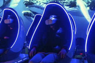 Young woman experiencing a virtual reality underwater whale and shark simulation, sitting in a