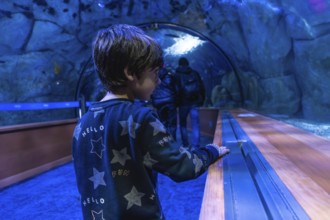 Little boy standing inside an underwater tunnel aquarium, fascinated by marine life while looking