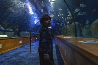 Young boy standing in a vibrant blue underwater tunnel at an aquarium, looking up with wonder at