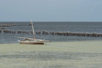 Traditional local fishing boat moored in the Kerkennah Archipeligo in the Gulf of Gabes in the