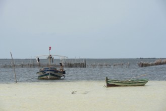 Kerkennah Islands Tunisia. June 4th 2024 Traditional local fishing boats moored in the Kerkennah