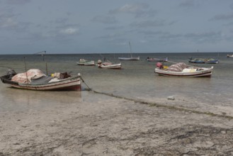 Kerkennah Islands Tunisia. June 4th 2024 Fishing boats moored in the Kerkennah Archipeligo in the