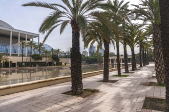 Palau de la musica building and modern architecture reflecting in the water, with a row of tall