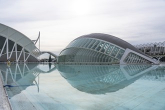 Valencia's city of arts and sciences complex features contemporary architecture reflecting in the
