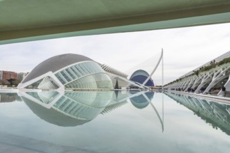 Valencia's contemporary city of arts and sciences buildings reflecting in the clear water,