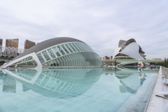 City of arts and sciences in valencia featuring futuristic l'hemisferic and palau de les arts reina