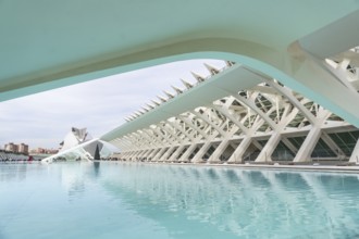 Ciudad de las artes y las ciencias showcases innovative architecture with white structures spanning