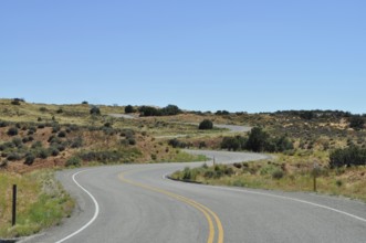 Winding road through a slightly hilly, dry desert landscape under clear skies, Canyonlands National