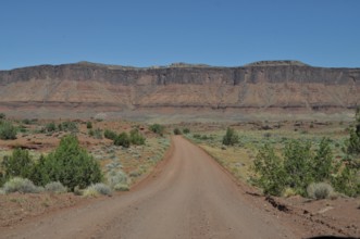 Straight gravel road through a flat, wide desert landscape, Canyonlands National Park, Island in
