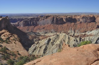Extensive view of a deep canyon of reddish brown rocks, Canyonlands National Park, Island in the