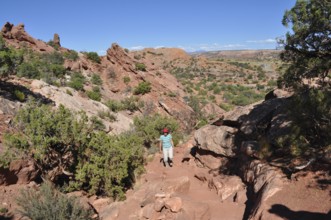 Female hiker in a rocky, dry desert landscape under clear skies, Canyonlands National Park, Island