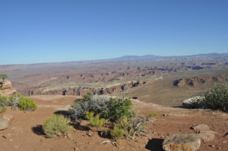 View over a high plateau of an extensive canyon landscape with vegetation under clear skies,