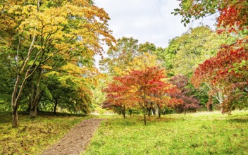 The color of autumn trees and leaves, Bodnant Garden, Conwy River, Colwyn Bay, Conwy, Wales, United