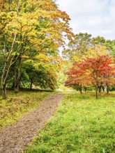 The color of autumn trees and leaves, Bodnant Garden, Conwy River, Colwyn Bay, Conwy, Wales, United