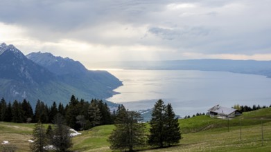 A serene view of Lake Geneva surrounded by rolling alpine hills and trees Sunlight breaks through