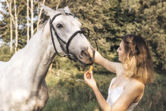 A young woman feeds a white horse a carrot in a peaceful forest. The tranquil scene captures
